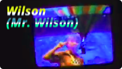 mr. wilson